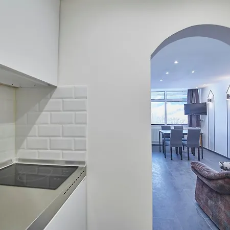 Skylight 잘바흐 힌터글렘